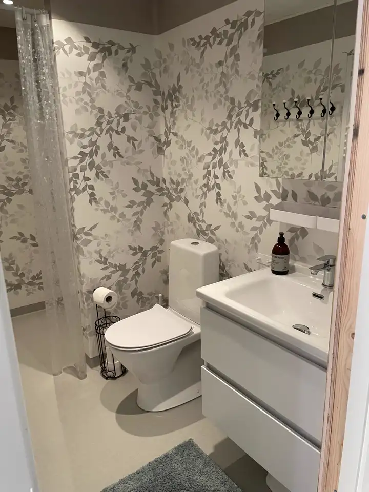 Badezimmer mit Dusche, WC und Waschtisch