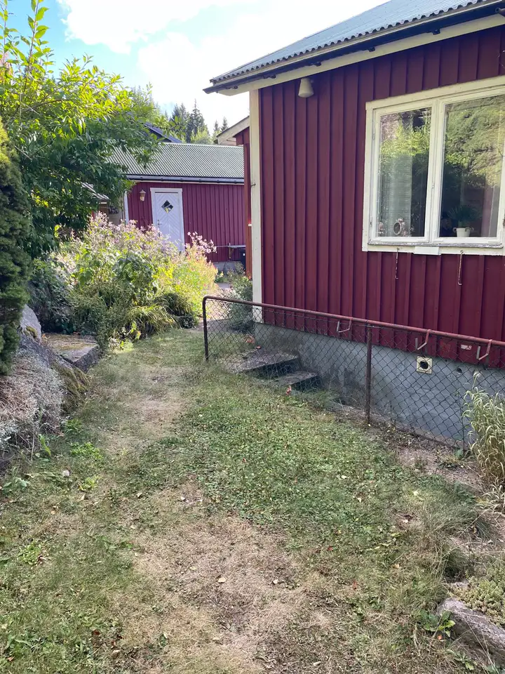 Rasen an der Rückseite des roten Holzhauses